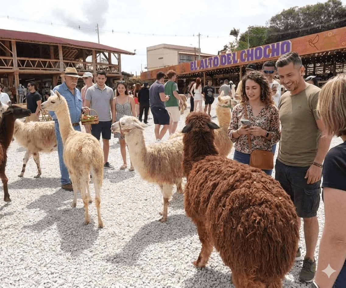 Mirador Alto del Chocho